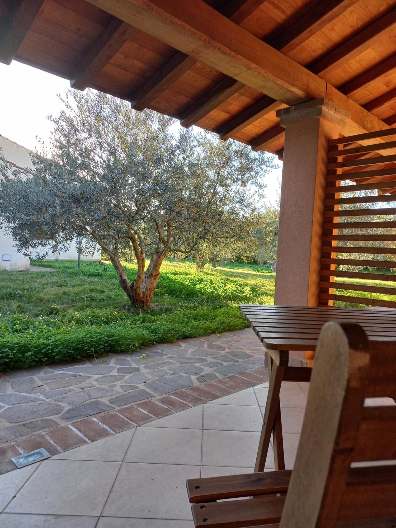 Degli Ulivi Alojamento de Turismo Rural